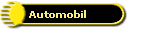 Automobil